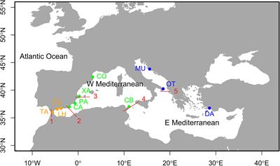 The Two Sides of the Mediterranean: Population Genomics of the Black Sea Urchin Arbacia lixula (Linnaeus, 1758) in a Warming Sea